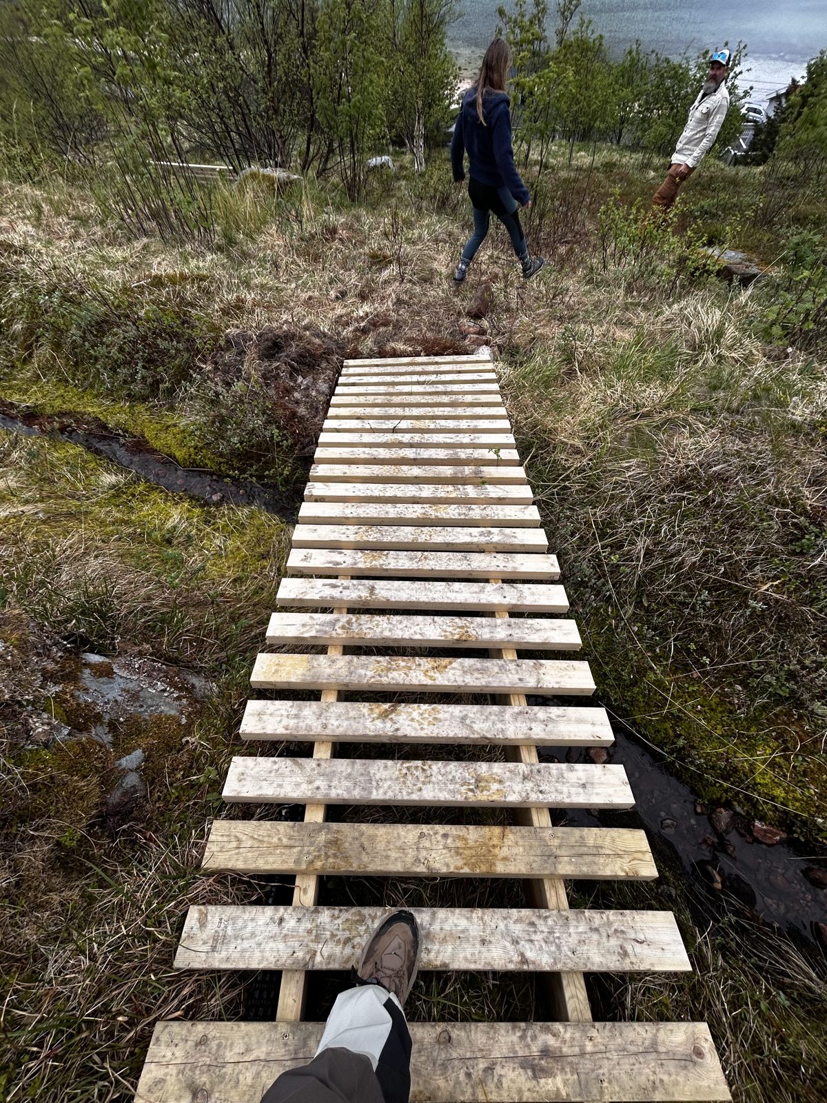 The plank path to the benches on the hill.