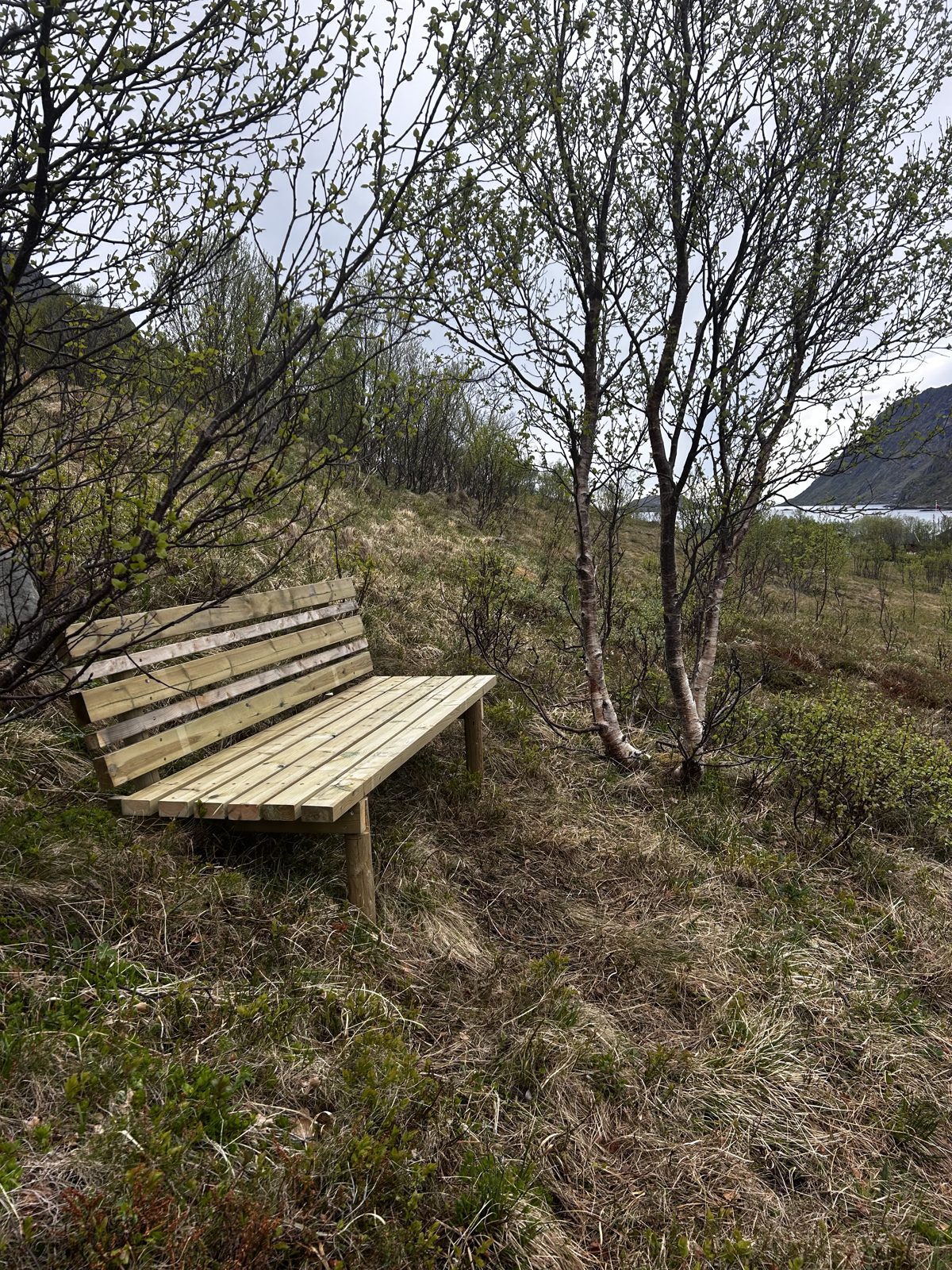 What a Lofoten trip costs