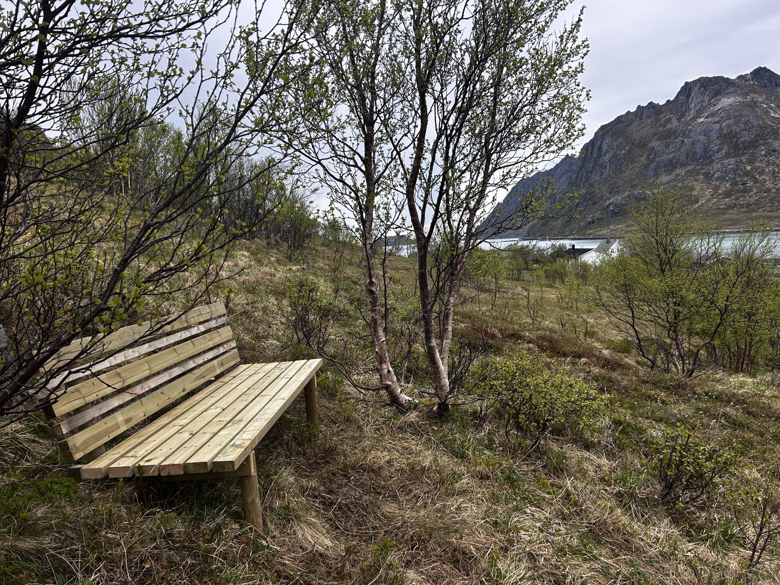 The lower bench, facing Kunna (IMG_7306).