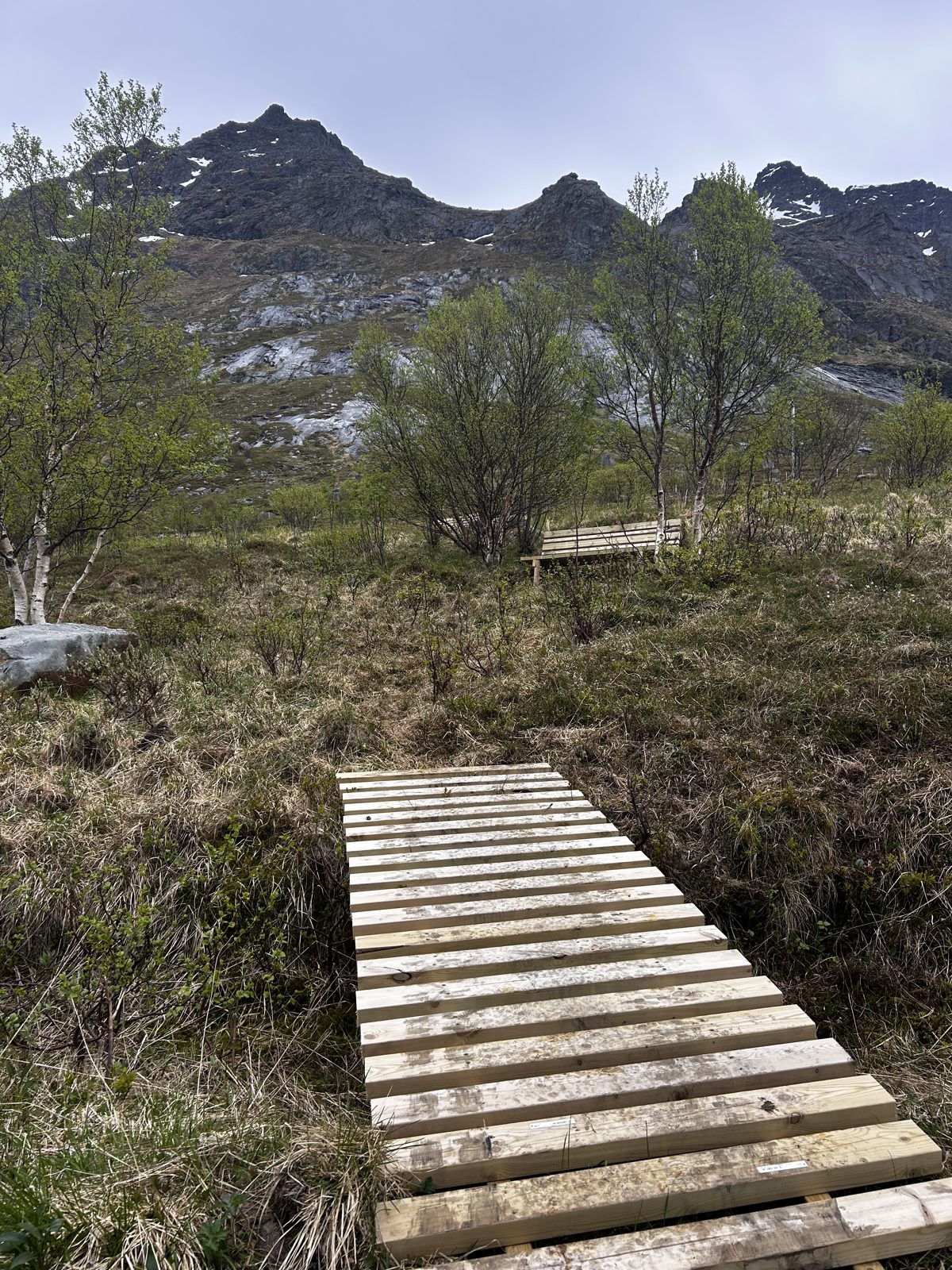 The footbridge over the stream, on the way up to the first bench (IMG_7308).