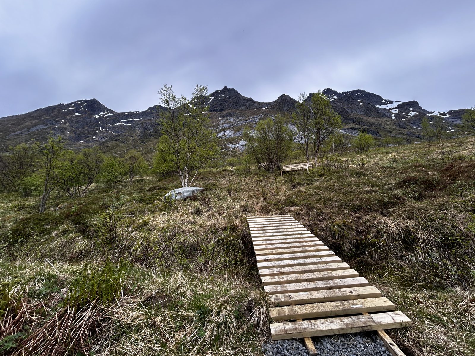 The footbridge on the path to the first bench (IMG_7309).