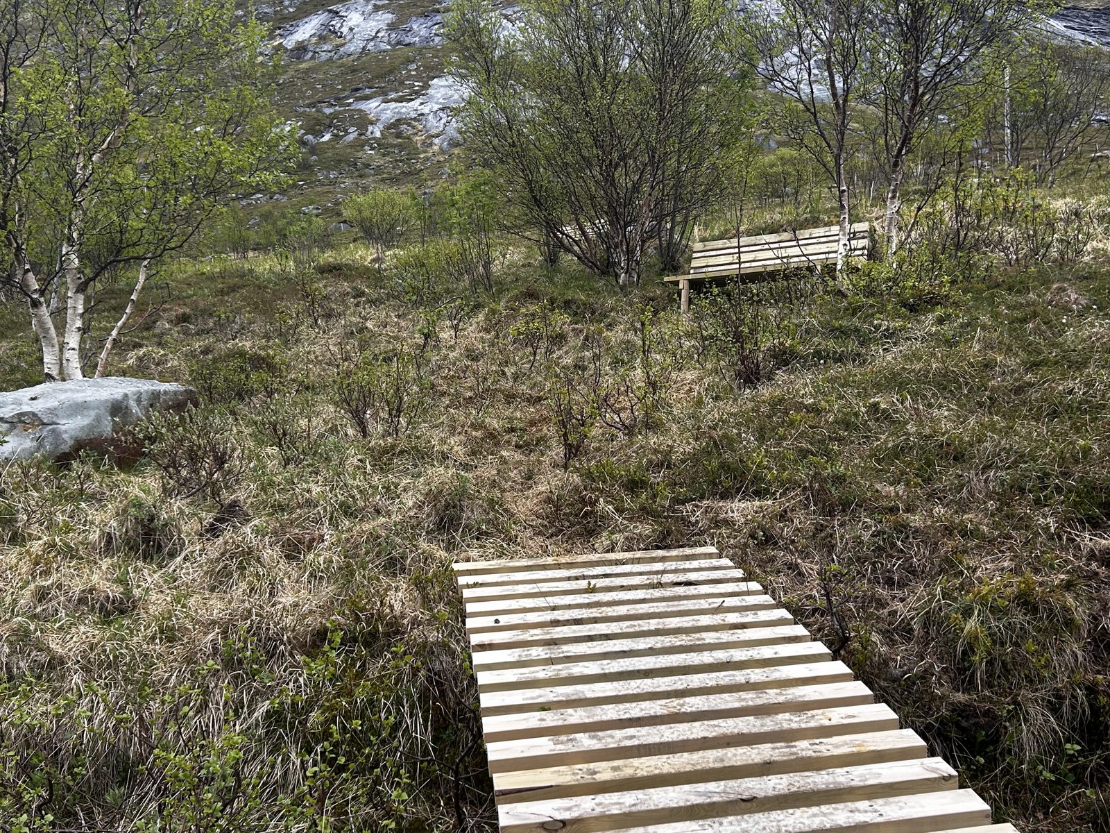 The plank path toward the first bench (IMG_7310).