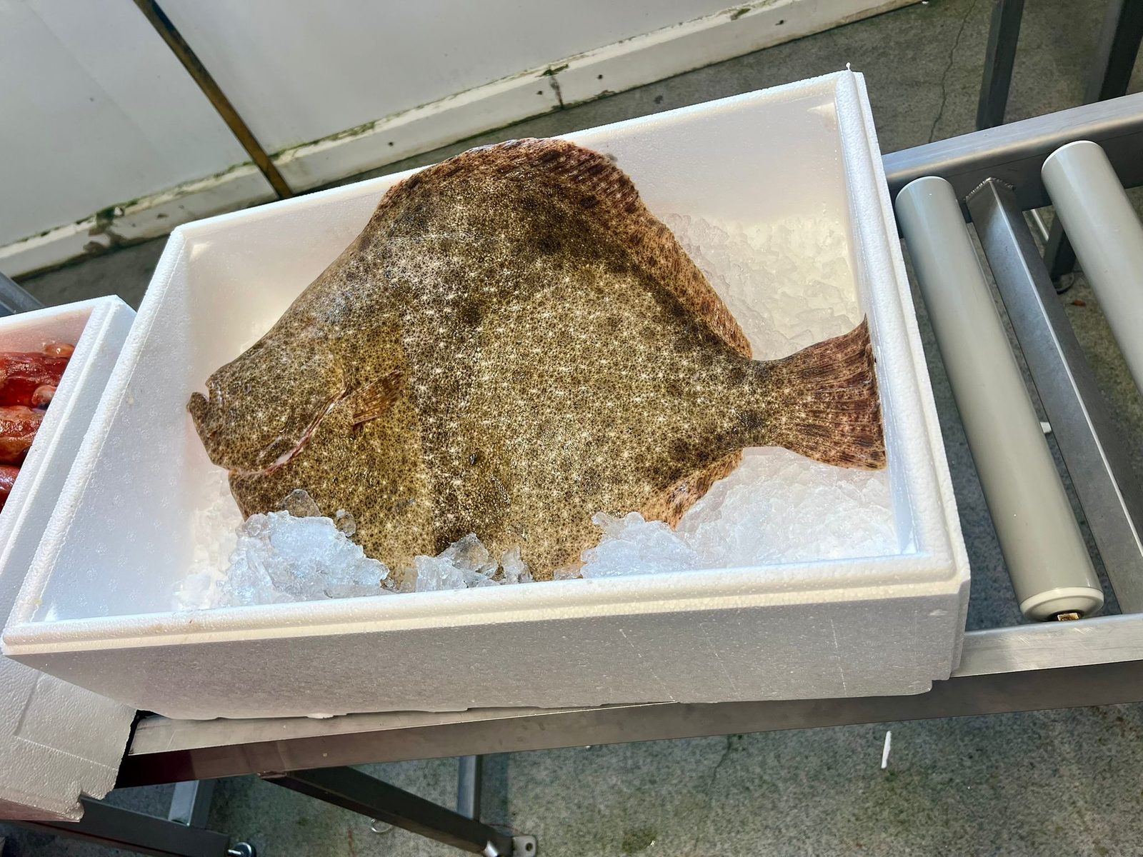 Fresh fish from the Fredvang landing.