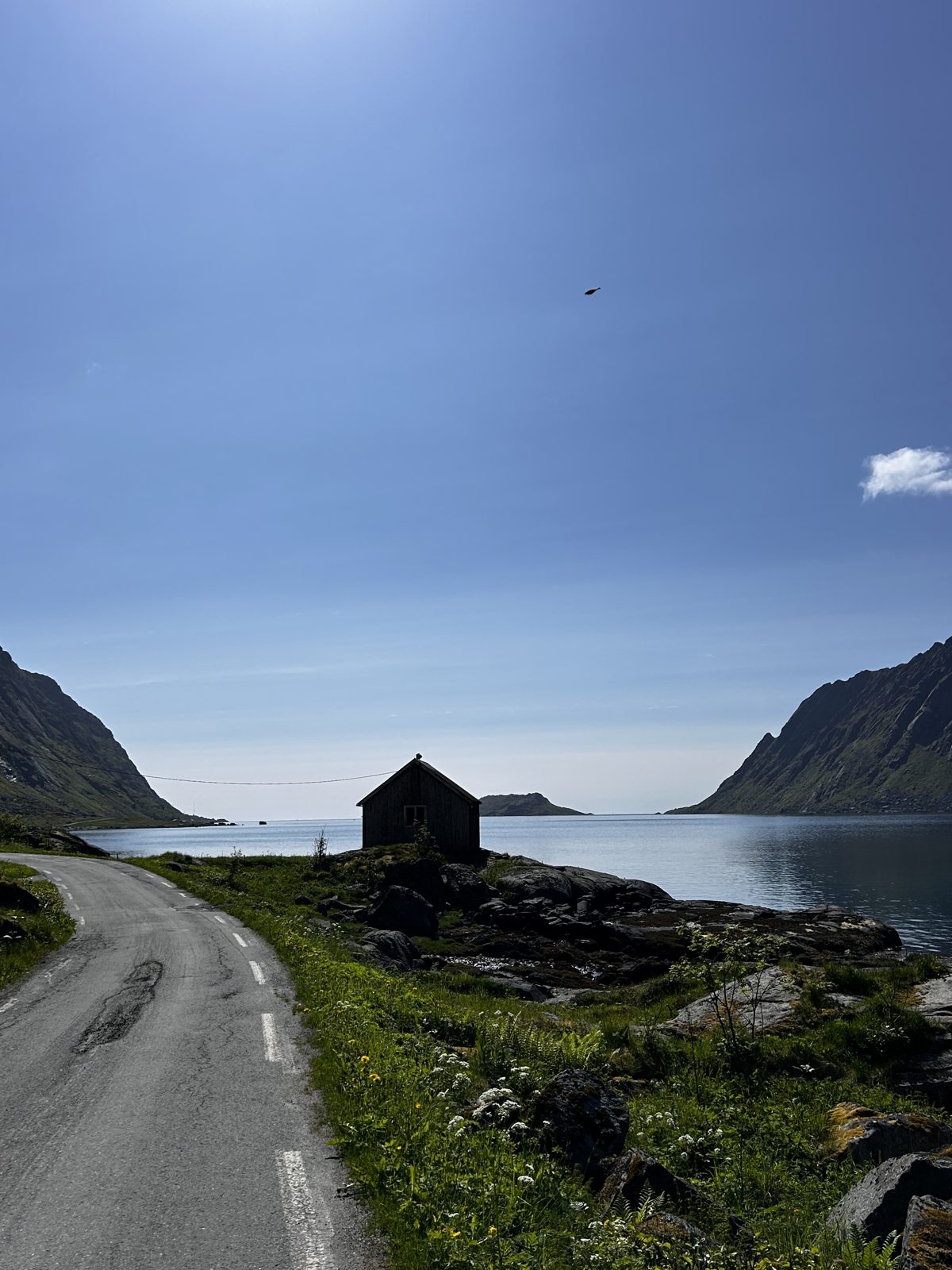 The road along Skjelfjorden, about 800 metres out from the house (IMG_2956).