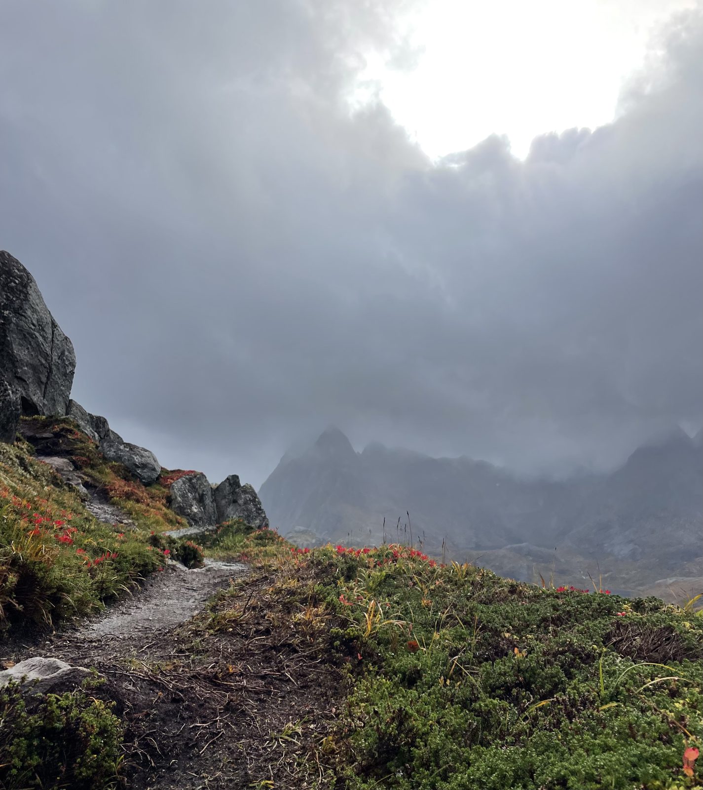 The trail in autumn mist (IMG_1922).