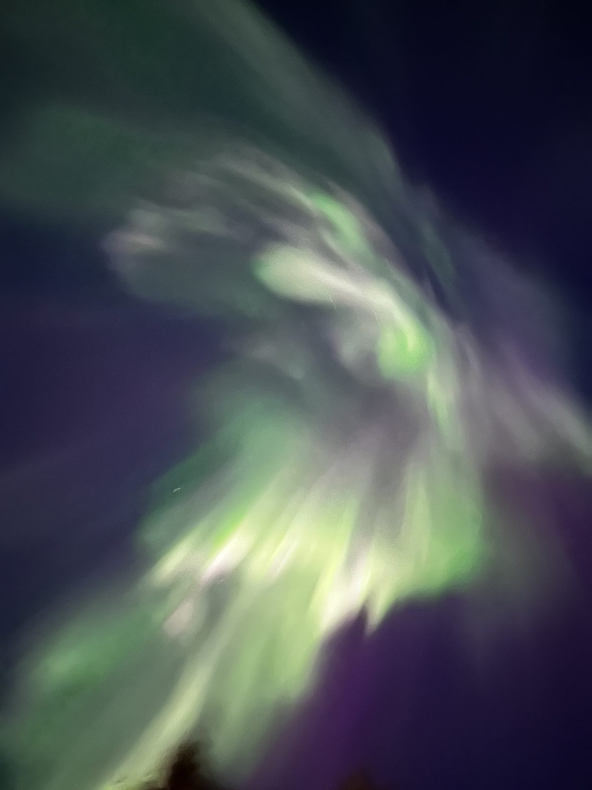 Northern lights photographed from Casa Lofoten (IMG_5899).