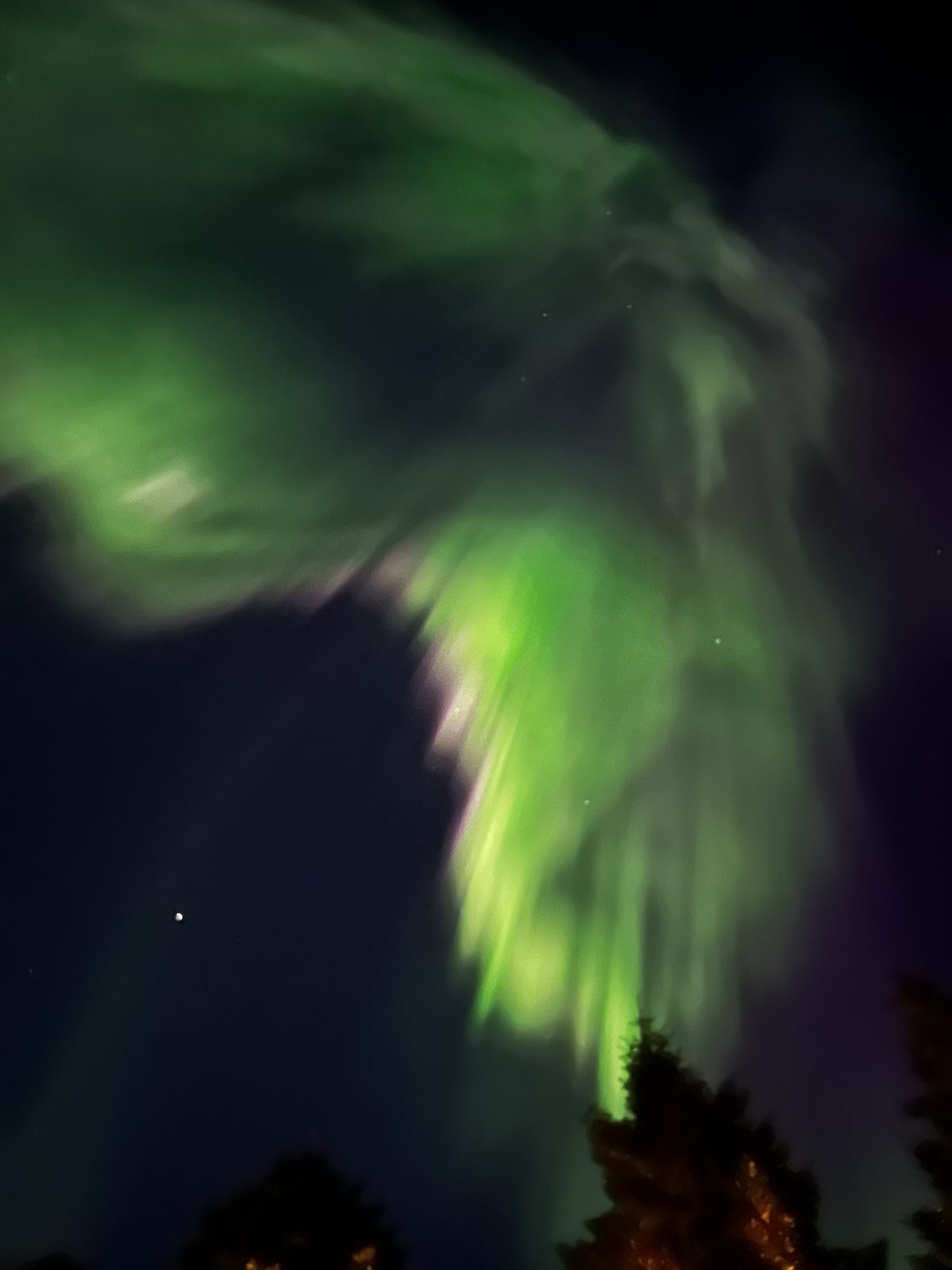 Northern lights photographed from Casa Lofoten (IMG_5900).