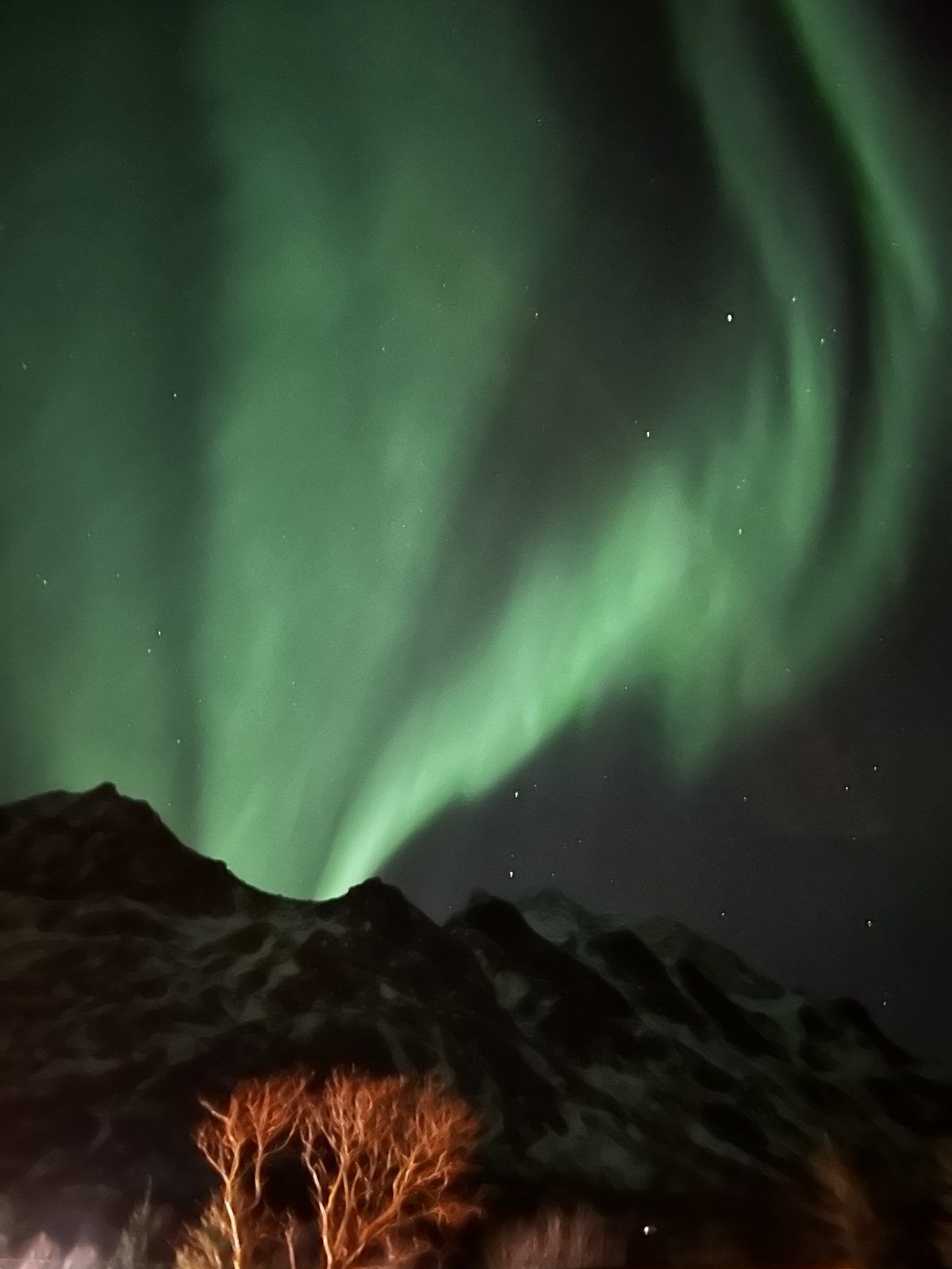Northern lights photographed from Casa Lofoten (IMG_5988).