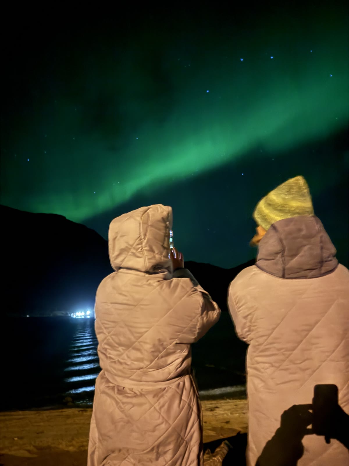 Two guests watch and photograph green northern lights over the fjord.
