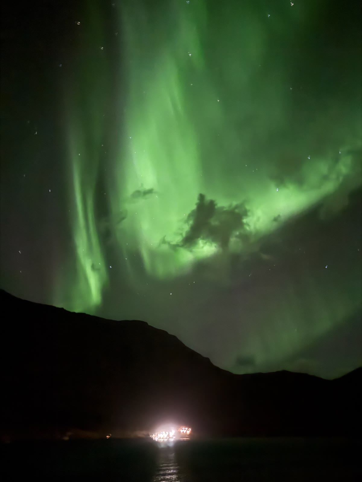 Green aurora curtains over the mountains and fjord at Casa Lofoten.