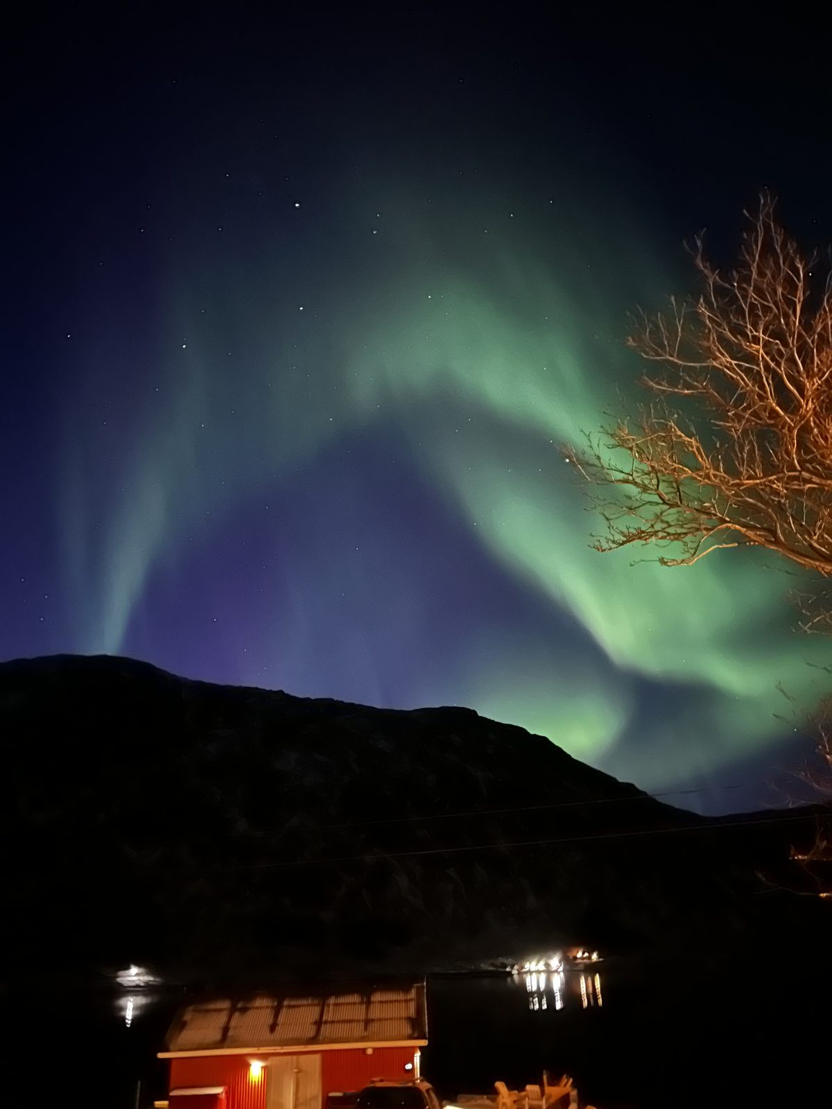 Northern lights photographed from Casa Lofoten (IMG_6244).