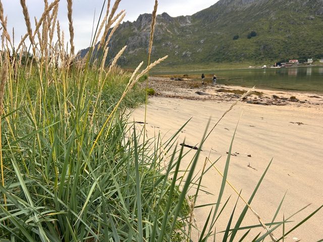 The private beach.