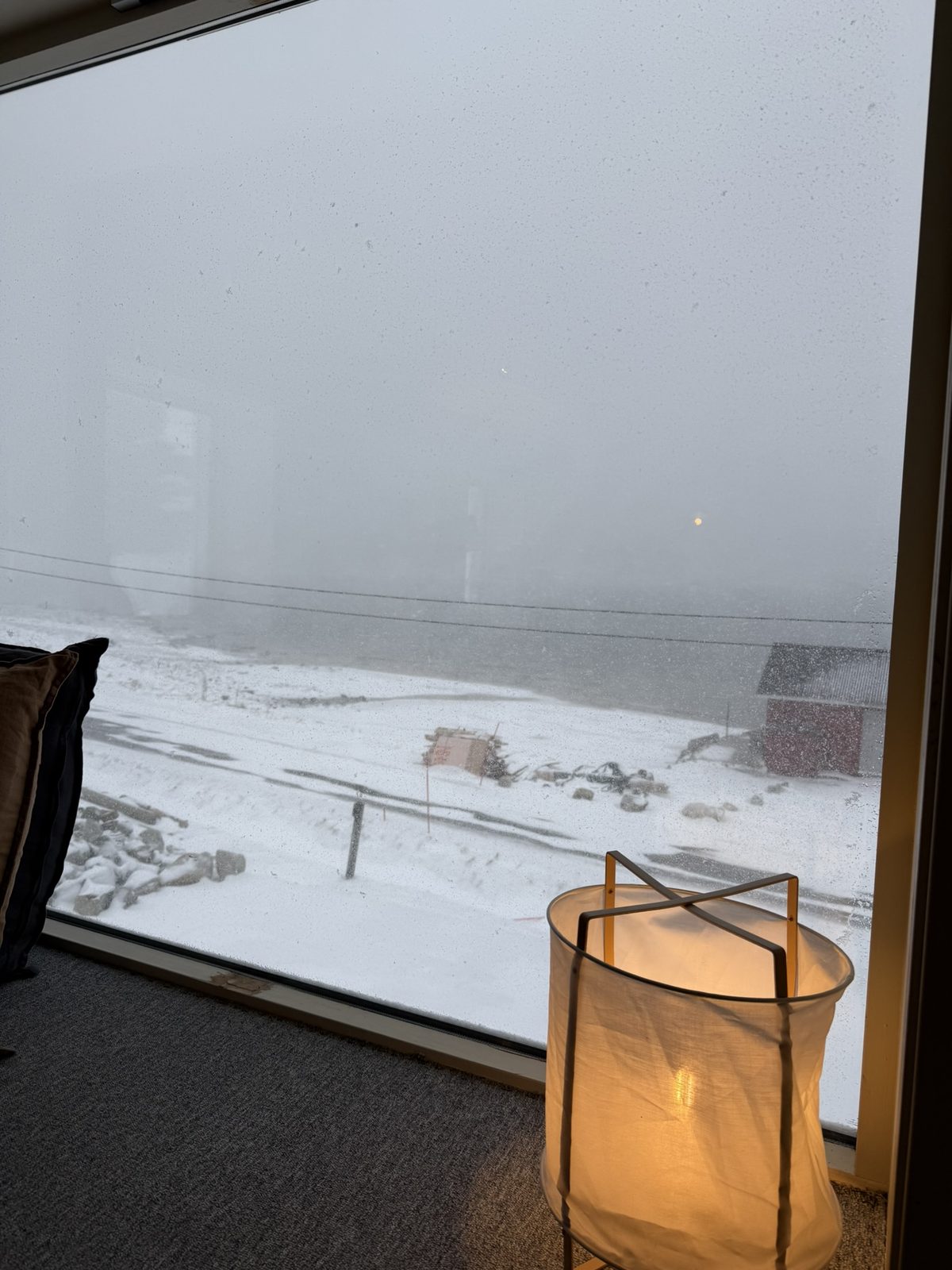 From the dining-room window in March (IMG_1653).