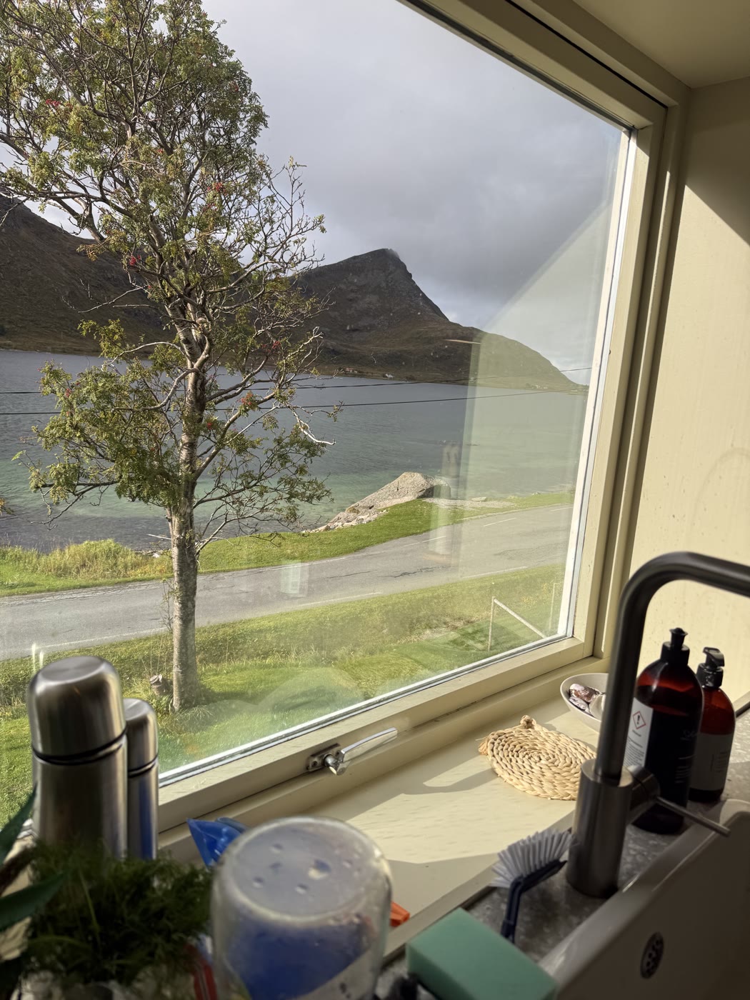 The fjord and a tree from the kitchen window (IMG_0853).