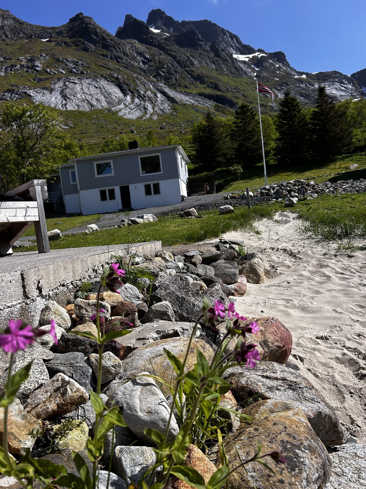 Wildflowers on the beach, the main house and the old barn behind.